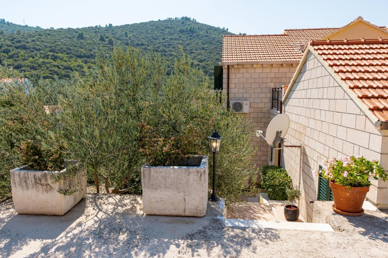 Villa Ana Zrnovo Esterno foto