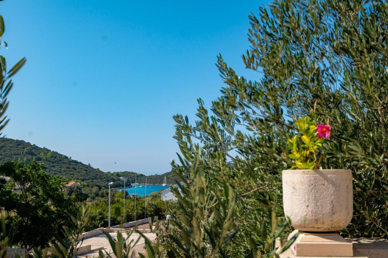 Villa Ana Zrnovo Esterno foto